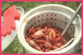 Cajun Fest moves to Iowa State Fairgrounds’ venue