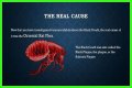 What Really Caused the Black Death: Anthrax or Celestial Bodies?